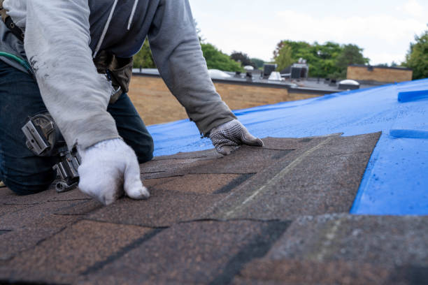 Best New Roof Installation  in Elm City, NC
