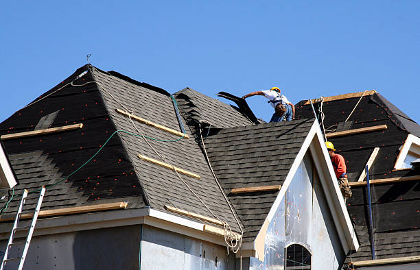 Best Gutter Installation and Roofing  in Elm City, NC