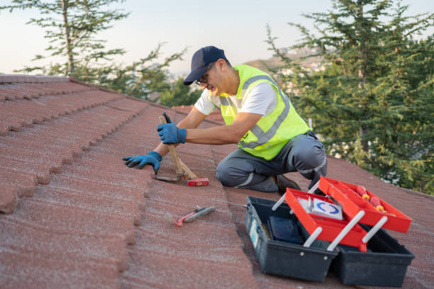 Roof Gutter Cleaning in Elm City, NC