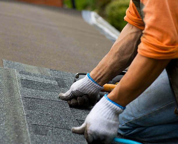 Best Residential Roof Replacement  in Elm City, NC